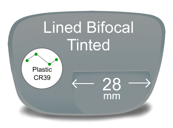 Lined Bifocal 28mm Plastic Tinted Lenses